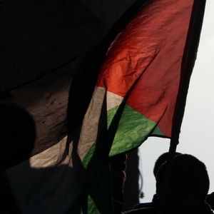 Meet your Posher, Samia